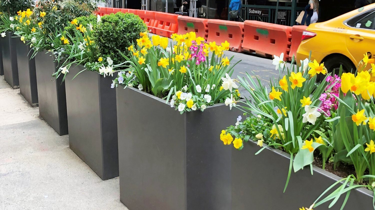 1500 series planters line 5th avenue in NYC