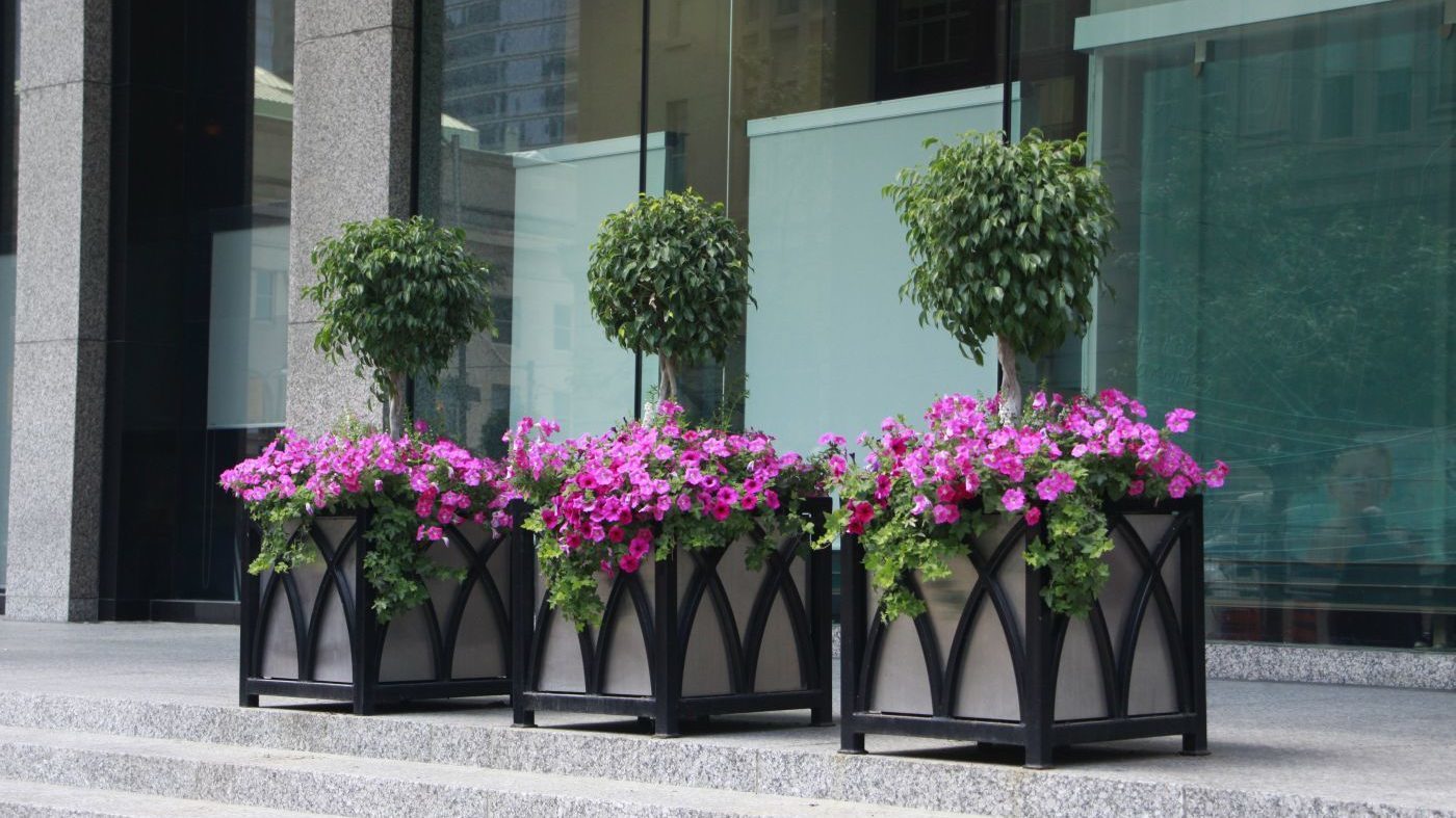 Custom planters for Brookfield Place with pink foliage