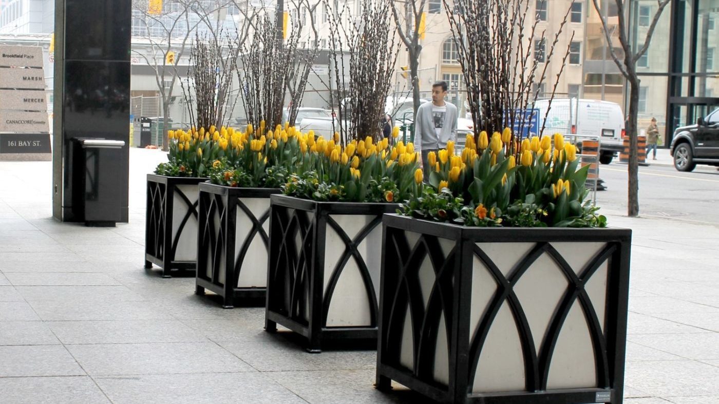 Custom BCE Place planters with yellow flowers