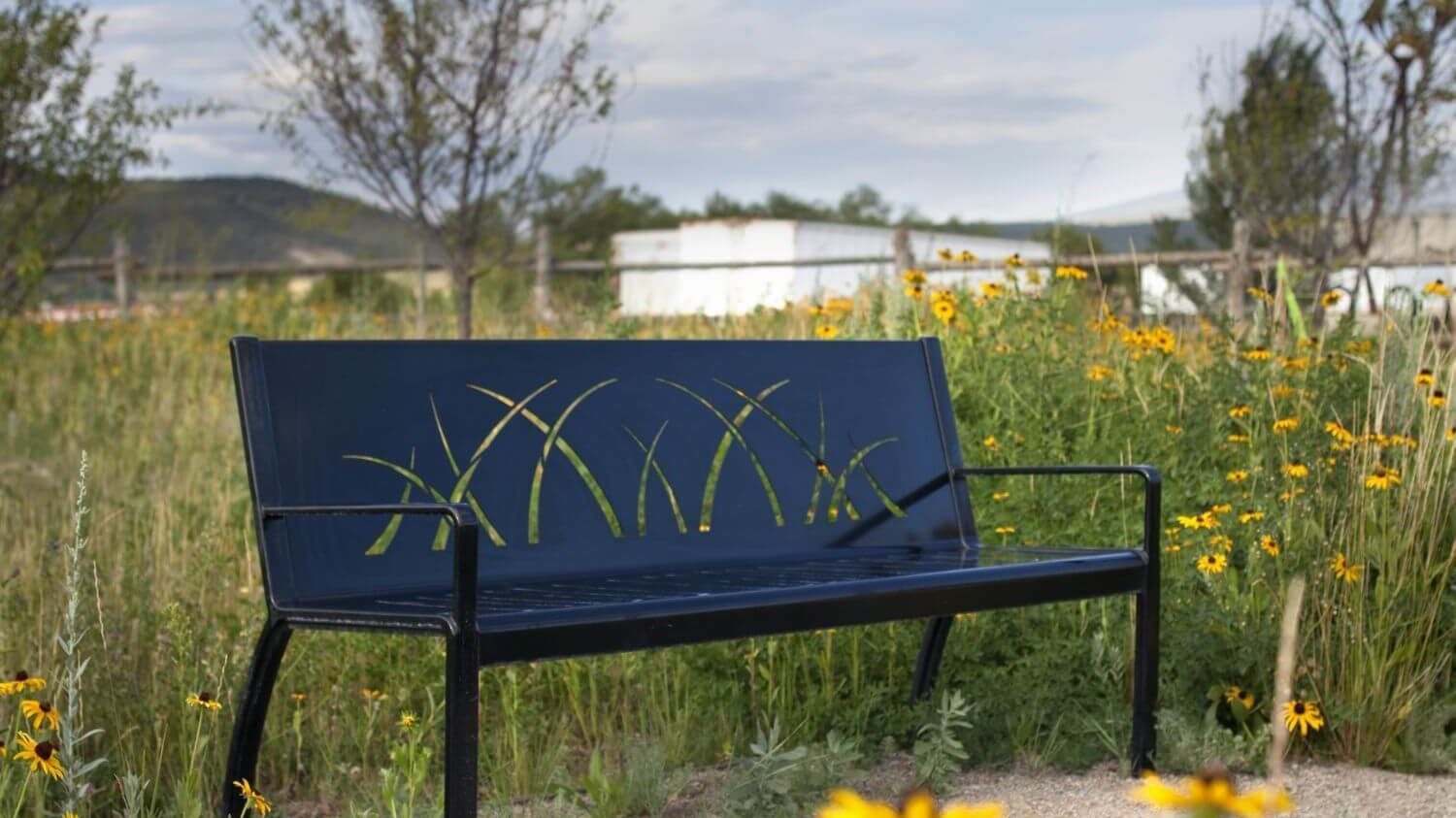 Black bench in long gras with yellow flowers