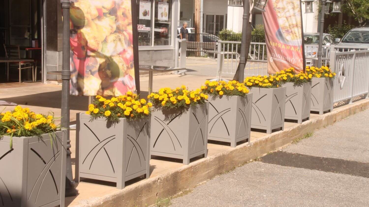 400 Series Planters with Yellow Flowers