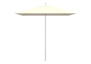 White Umbrella