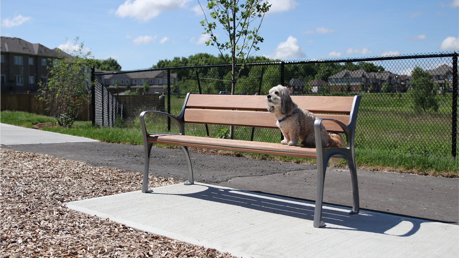 870 Wood Bench in Townhome complex with Rusty the dog