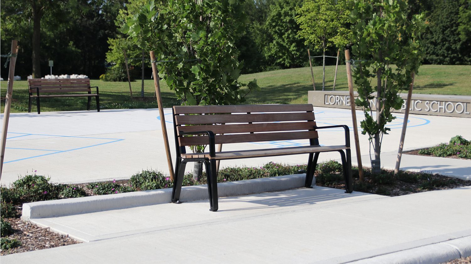 Iconic Backed Benches surrounded by trees in park setting