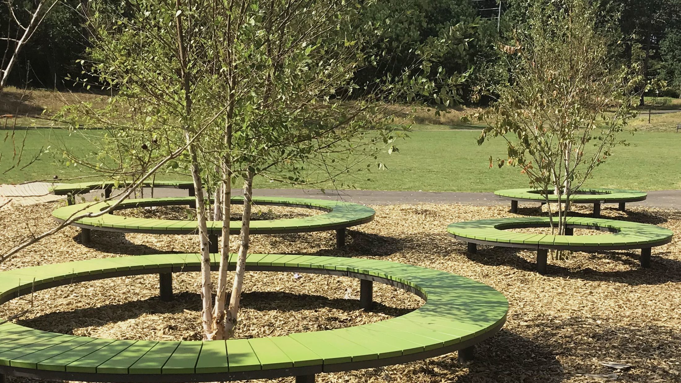 Circular Ogden Benches