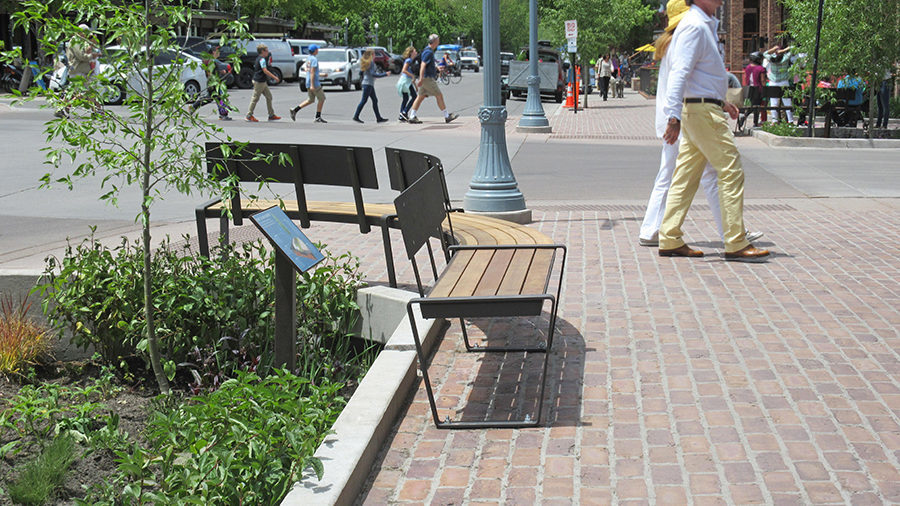 Curved Bench Near Gardens