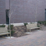 Metal Backed Benches near Building