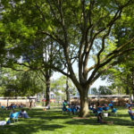 People sitting in blue chairs in Battery Park