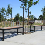 Backless wood 400 benches with trees in background