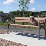 MBE-0870 Ipe Wood Bench featuring Rusty the dog