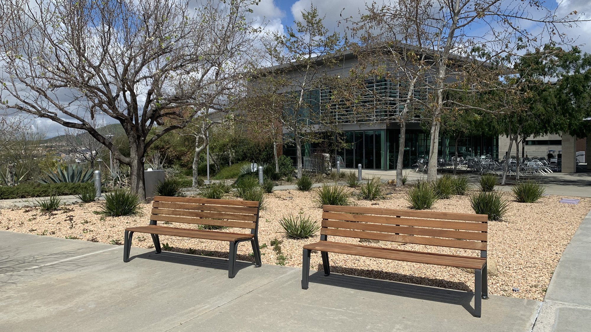 Backed Iconic Benches at California State University San Marcos Campus