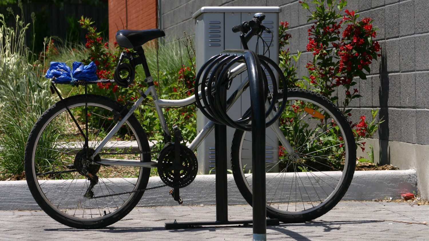 300 Series Bike Rack with bike locked