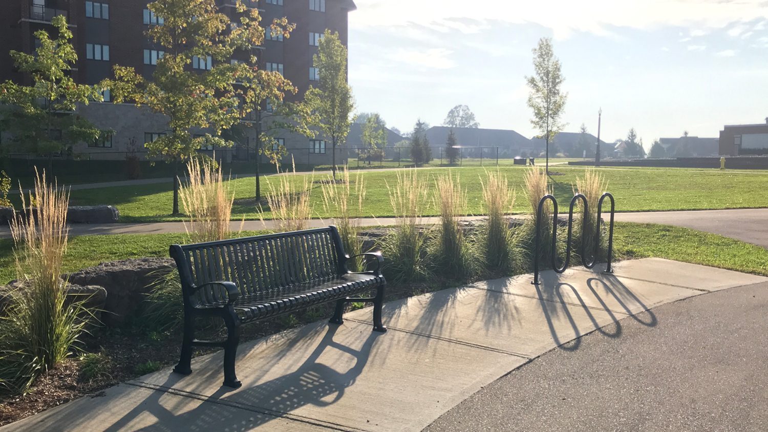 300 Backed Bench with 400 Series Bike Rack at David Lowe Park