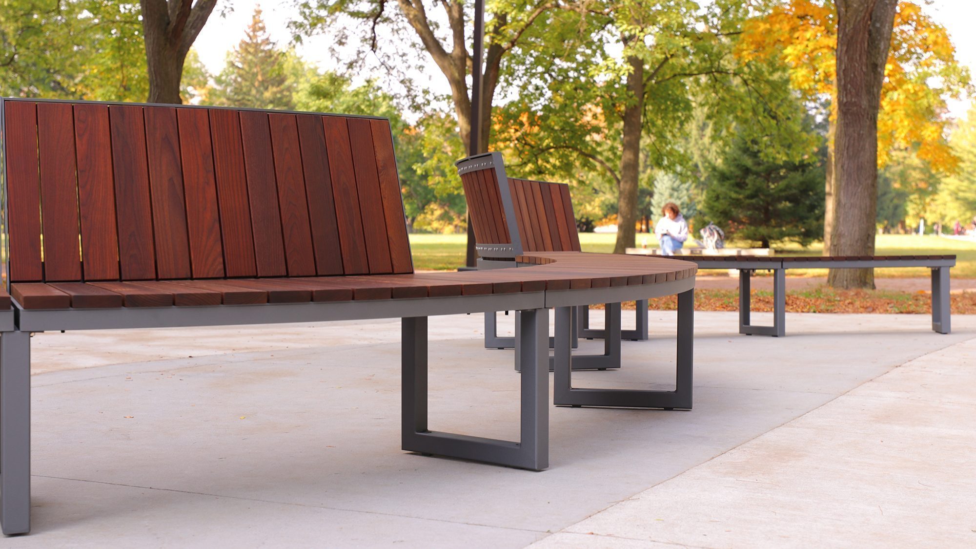 Curved Ogden bench on fall day at university campus