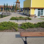 1200 Series Backless Benches in a row at an outdoor plaza with greenery and buildings